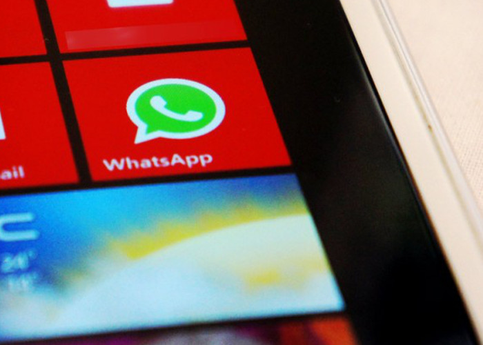 Перенос whatsapp с windows phone на android