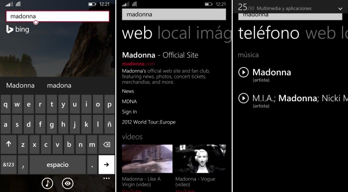 busqueda bin dentro telefono windows phone 8.1