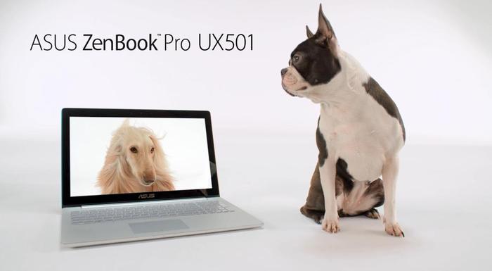 ASUS Zenbook Pro UX501 perros