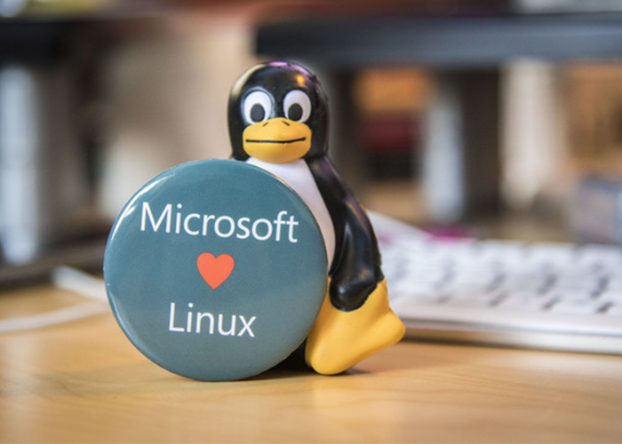 Linux y Microsoft